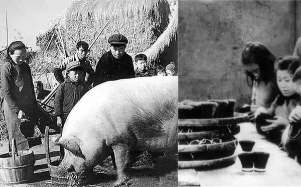 探究變形縫預(yù)填A(yù)級(jí)保溫材料的優(yōu)勢(shì)與應(yīng)用