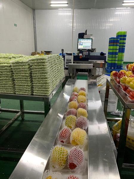 青浦區(qū)保溫材料費用深度解析，成本與費用因素探討