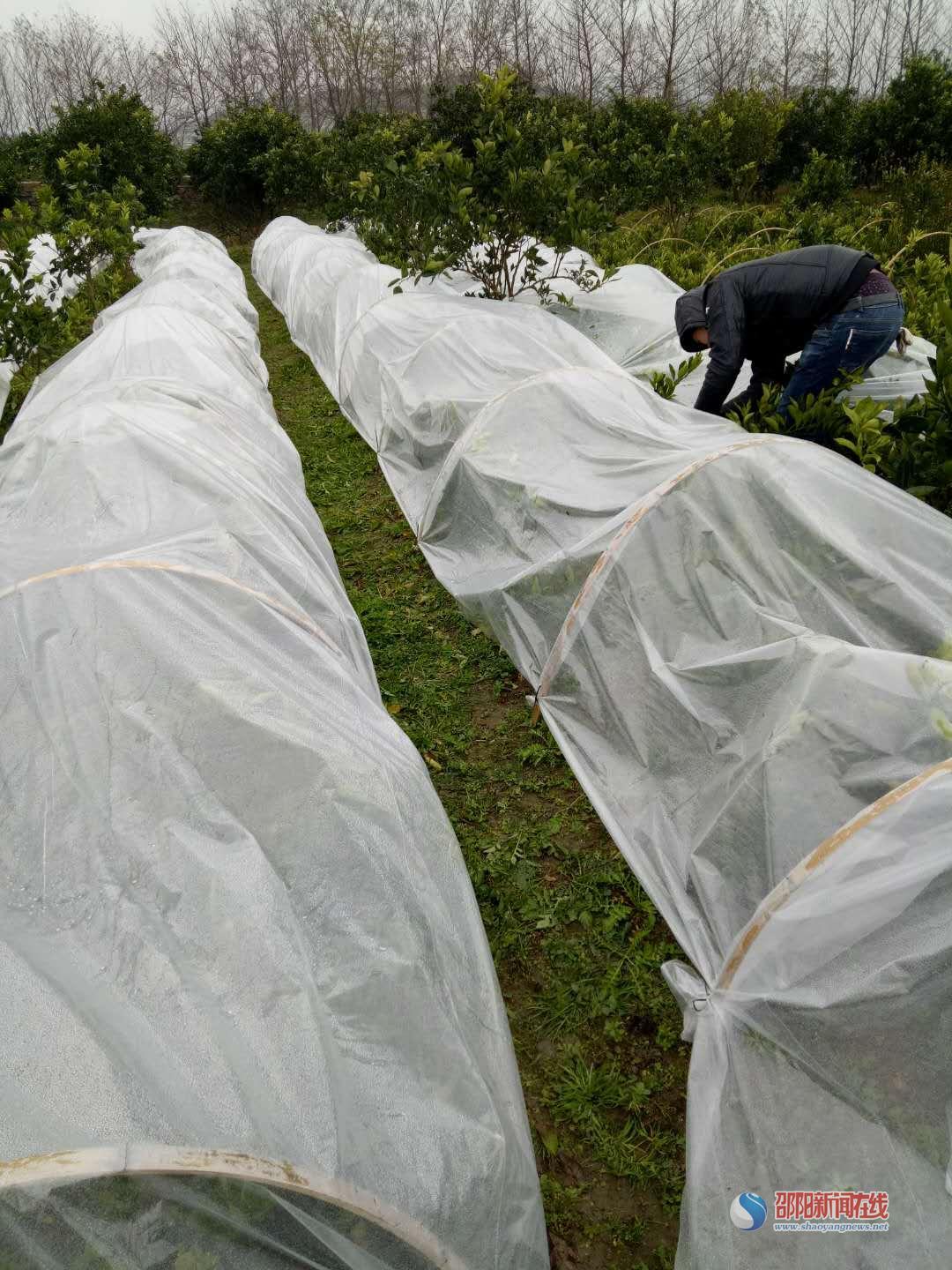 邵陽市保溫材料的購買指南